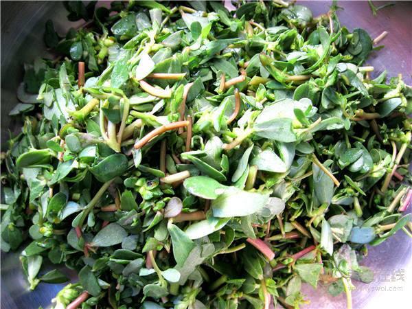 血小板減少怎么辦?這九個食療方法有效幫助血小板提升 血小板減少怎么辦?這九個食療方法有效幫助血小板提升