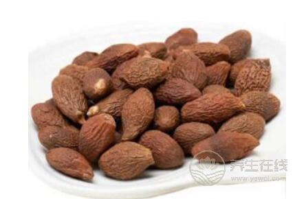 胖大海能吃嗎?不適合吃胖大海的人群 胖大海能吃嗎?不適合吃胖大海的人群