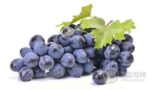 吃葡萄后喝水會引起腹瀉 吃葡萄注意七個事項 吃葡萄后喝水會引起腹瀉 吃葡萄注意七個事項