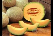 哈密瓜是熱帶水果嗎？哈密瓜什么樣的甜