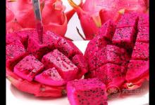 常吃火龍果的好處,火龍果的營養(yǎng)價(jià)值與飲食宜忌