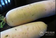 冬吃蘿卜化痰止咳助消化，還不趕緊吃