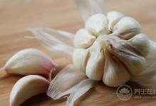 大蒜的養生功效 古代大蒜養生故事