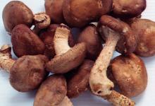 肝臟不好，常吃這4種養(yǎng)肝護肝的蔬菜