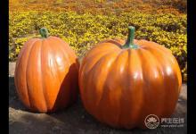 女人常吃6種食物,補血養氣,人年輕