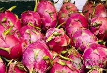 胃酸過多患者可以吃火龍果嗎?