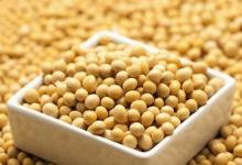 盤點(diǎn)3種豆類的營養(yǎng)價(jià)值,常吃讓你遠(yuǎn)離疾病困擾