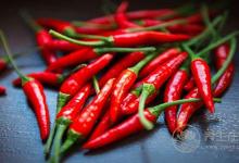 吃什么有效預防感冒 這12種食物提高抵抗力