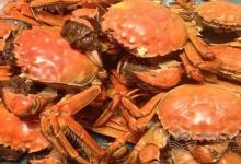 吃螃蟹不能吃這些食物 蟹與梨同食致腹瀉