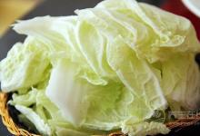 便秘、腸胃不健康就吃它 最強排毒蔬菜——白菜