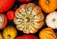 南瓜降血糖還是升血糖?