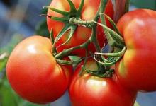 吃蔬菜雖好，但這些食用禁忌你知道幾個？