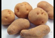土豆怎樣吃減肥土豆的減肥吃法