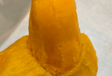 學生臺風天里跑出來“拯救”芒果 臺風也抵擋不了芒果美味的誘惑