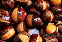 常吃板栗會發胖？ 千萬別因誤會錯失這營養食物