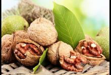 核桃真的能補(bǔ)腦嗎？核桃的營養(yǎng)價值有多高