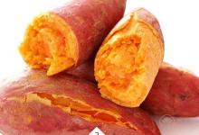 胃不好吃什么養胃 十種食物呵護腸胃