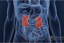 開學啦!高三學生如何從飲食消除腦疲勞