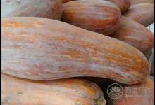 揭秘喝紅玫瑰葡萄酒的好處?