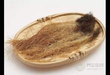 玉米須煮水喝才是養(yǎng)生高手,勝過這5種藥