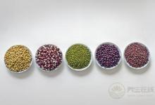 11個錯誤方法越減越肥 每天稱體重不吃早餐