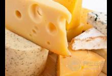 奶酪是什么東西?奶酪和牛奶哪個好?