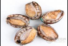 生蠔和鮑魚(yú)哪個(gè)好吃,鮑魚(yú)和生蠔的區(qū)別圖