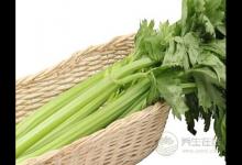 如何清理血液”垃圾“?這物是血液的清道夫