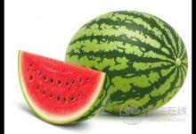 揭秘西瓜減肥法 堅持下來五天就見效