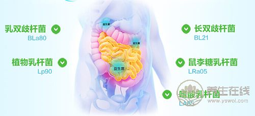 拉肚子腹瀉怎么辦?吃點益生菌好得快 拉肚子腹瀉怎么辦?吃點益生菌好得快