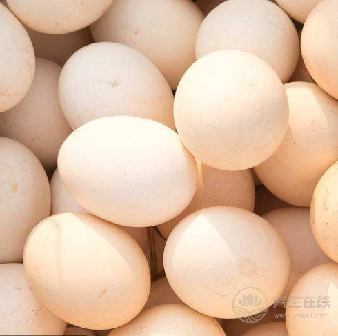 腎不好,別急著吃藥,這3種食物,能助你腎好人不倒 腎不好,別急著吃藥,這3種食物,能助你腎好人不倒