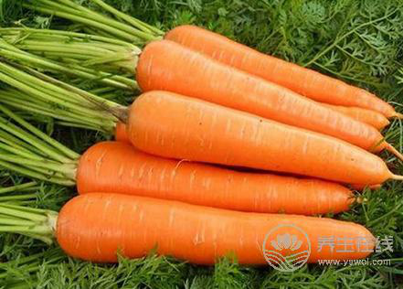 漲姿勢！這些食物竟然都能防脫發