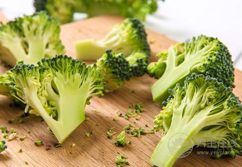 8月份的養生蔬菜有哪些?看看有沒有你喜歡吃的 8月份的養生蔬菜有哪些?看看有沒有你喜歡吃的