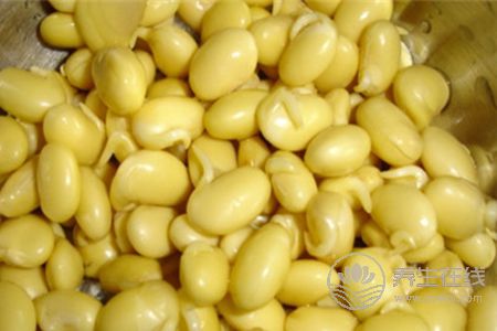 怎么炒黃豆芽會更好吃?常吃黃豆芽好處多多 怎么炒黃豆芽會更好吃?常吃黃豆芽好處多多