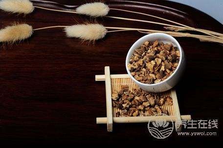 蒲公英根怎么吃養生功效大