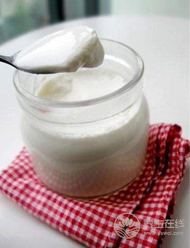 生活中7種食物富含益生菌 常吃養腸胃 生活中7種食物富含益生菌 常吃養腸胃