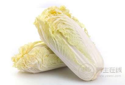 白菜食療功效大 白菜食療功效大
