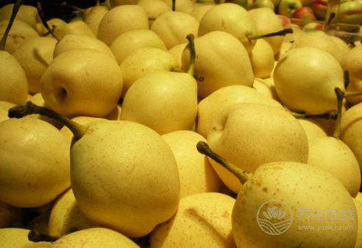 咽喉炎反復發作，這5種便宜好用的食物要多吃