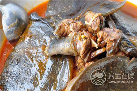 甲魚湯營養豐富，喝甲魚湯的功效是什么？