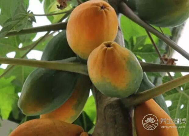 常吃十種食物,拯救痘痘肌膚 常吃十種食物,拯救痘痘肌膚