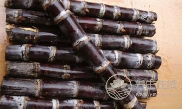 補(bǔ)血不想吃豬肝，那就選這些水果