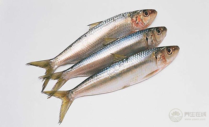 胖子福利：減肥期間可以吃5種肉，不擔心發胖