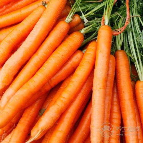 4種“換血食物”,每天吃一吃,血液越來越干凈 4種“換血食物”,每天吃一吃,血液越來越干凈