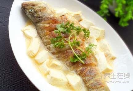 初夏吃三種魚補肝腎 初夏吃三種魚補肝腎