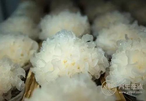 肝臟毒素多,可多吃這幾樣食物為肝排毒,菜市就有 肝臟毒素多,可多吃這幾樣食物為肝排毒,菜市就有