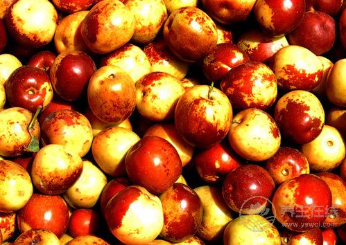 失眠吃什么?5種水果助你順利入眠 失眠吃什么?5種水果助你順利入眠