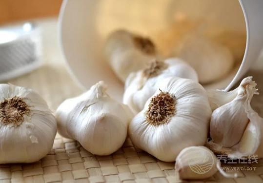 這些怪味食物最養人不好吃也要嘗嘗