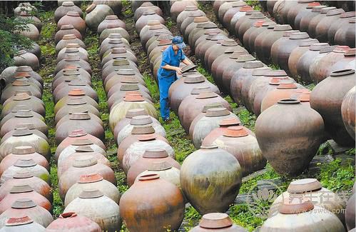 生活中7種食物富含益生菌 常吃養腸胃 生活中7種食物富含益生菌 常吃養腸胃