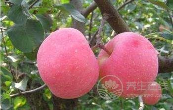 別輕易吃藥,哪不舒服,就吃哪種水果吧 別輕易吃藥,哪不舒服,就吃哪種水果吧