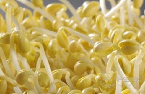 夏秋換季最容易生病，常吃4種食物幫你換季養(yǎng)生不得病